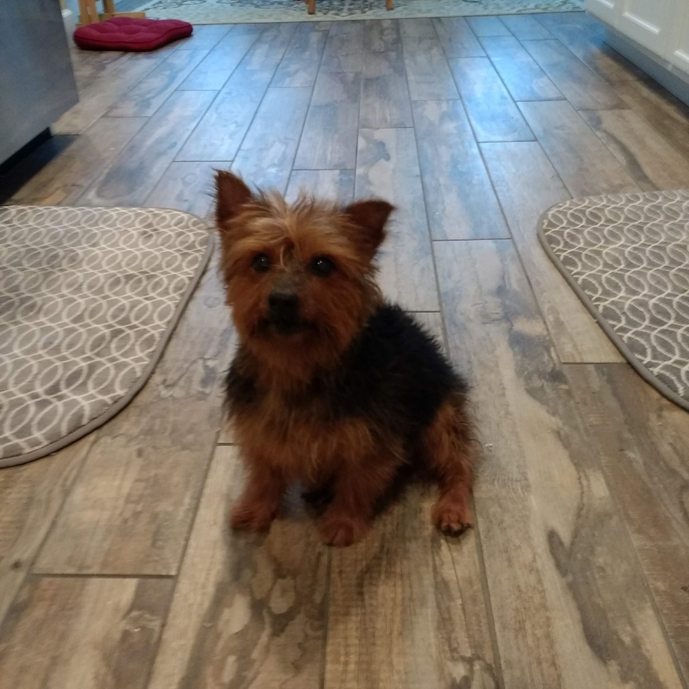 Meet your Posher, Vickie
